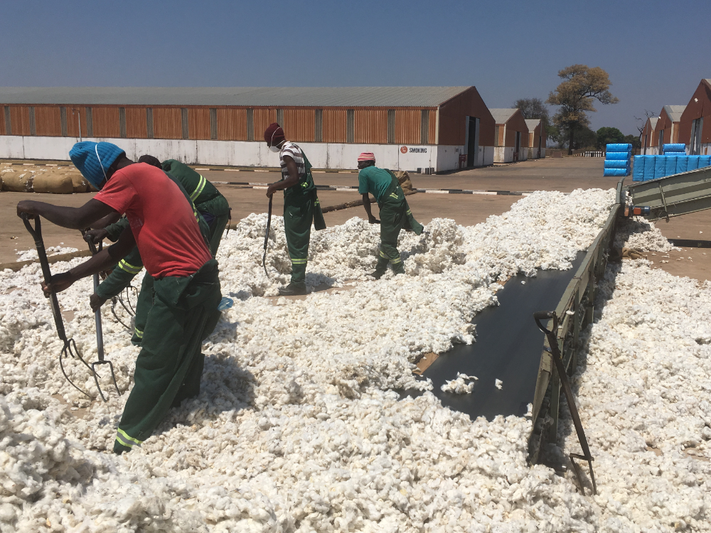 Supporting sustainable practices in Zambia's cotton sector