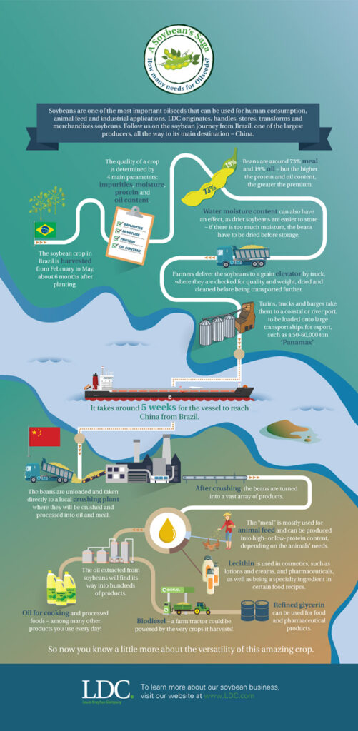 blog-info-soybean-pg01.jpg