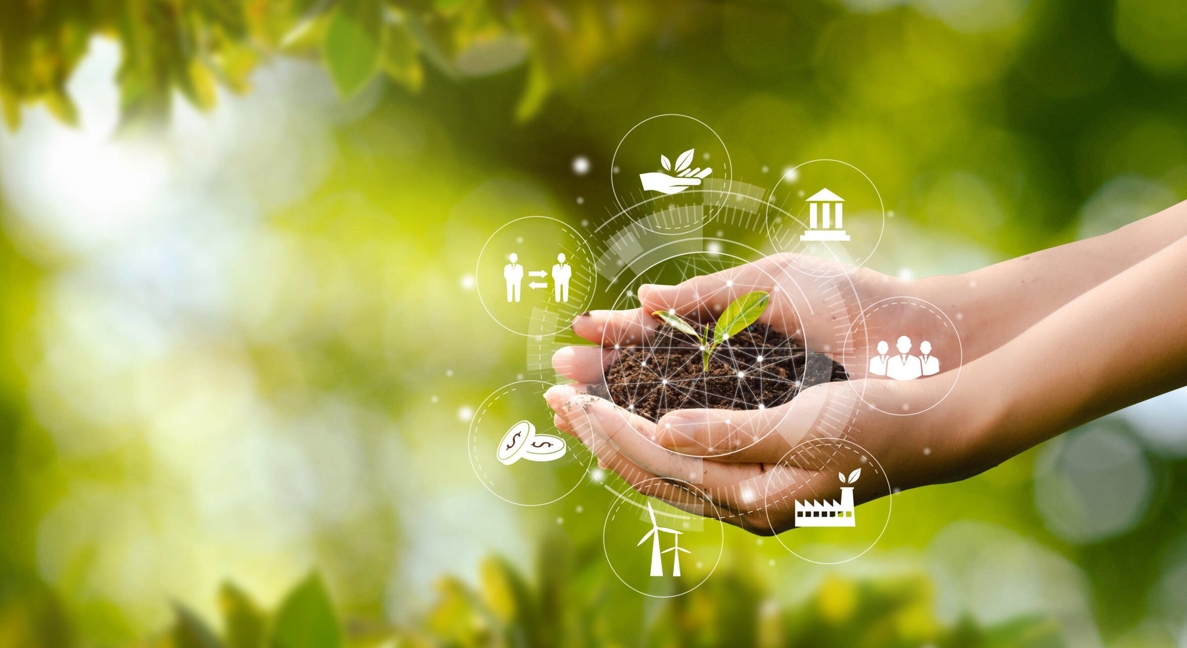 Growing Green With Data on the Path to a Sustainable Future