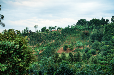 Aiming to conserve natural habitats and resources we all depend on - Land Use Change  - Sustainability Report 2022