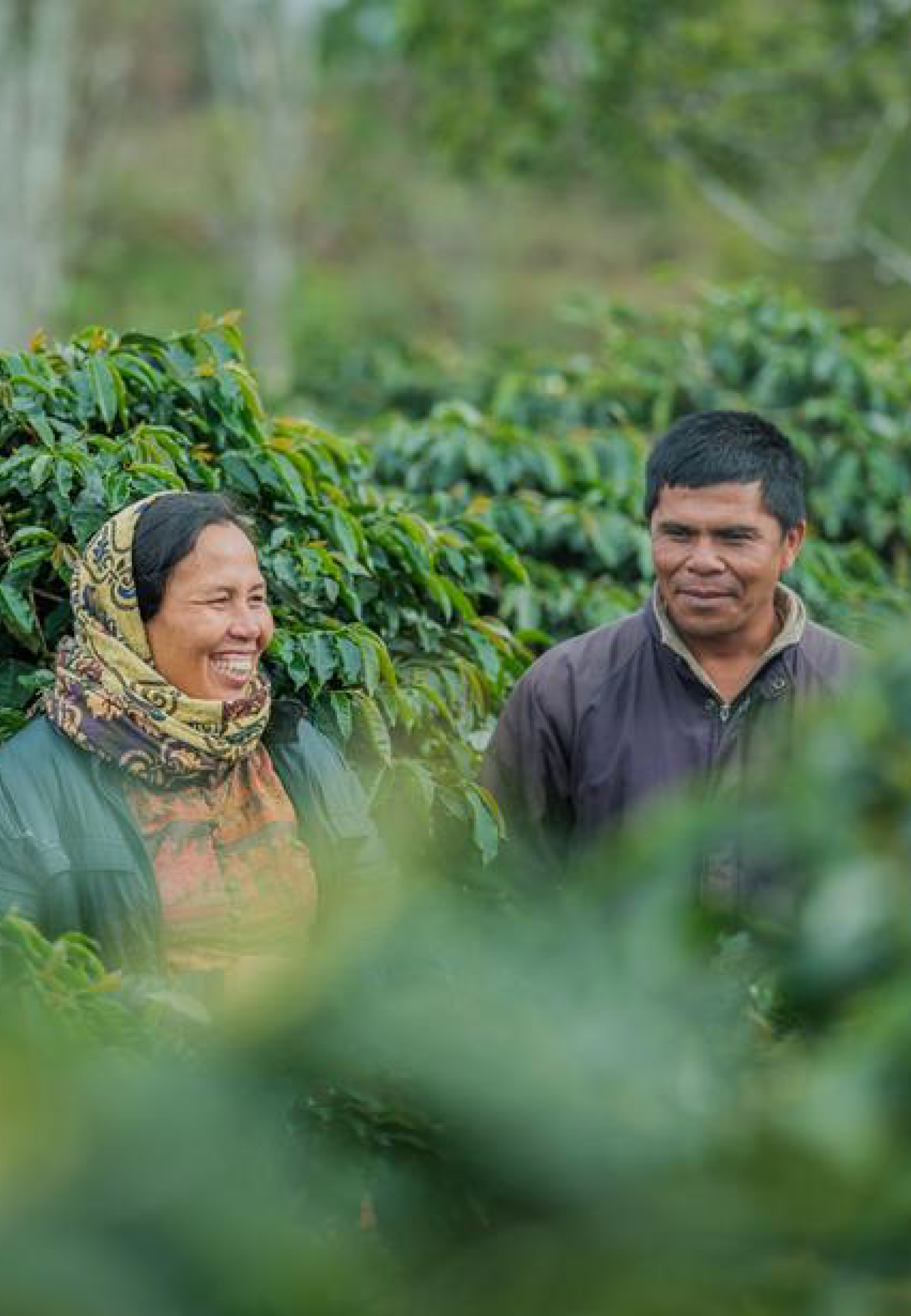 LDC field workers - Sustainability Report 2022