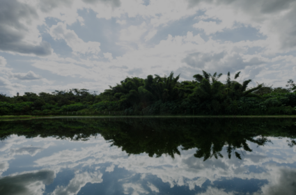 Water Management