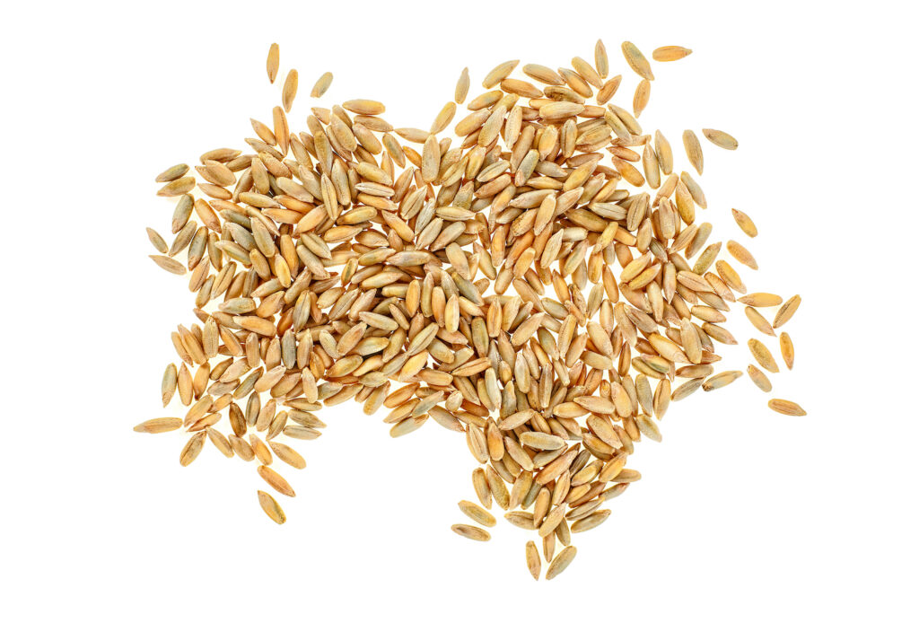 Rye